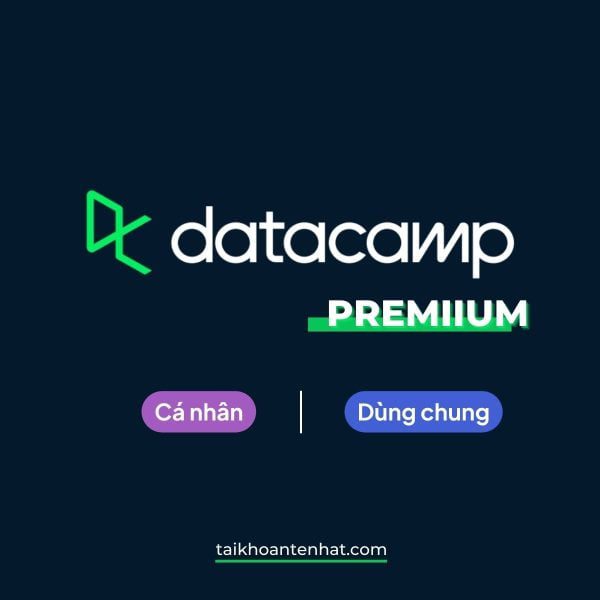 Gói nâng cấp Tài khoản Datacamp Premium